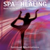 Spa and Healing: Music for the Mind Body Connection