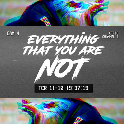 Everything That You Are Not (feat. Weasel Sims & Nikeboi) - Single