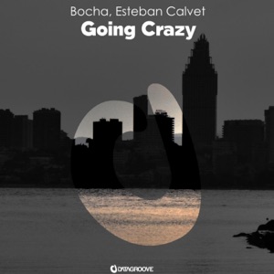 Going Crazy - Single