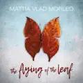 The Flying of a Leaf