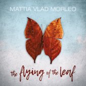 The Flying of a Leaf - Mattia Vlad Morleo
