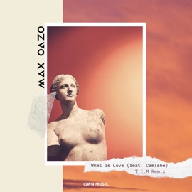 What Is Love (feat. Camishe) [T.I.M Remix] Max Oazo