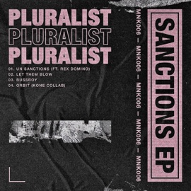 UN Sanctions Pluralist & Rex Domino