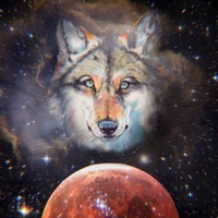 M Ø C H a (feat. Waxamilion & Michael Schuler) - Single - WØLFY