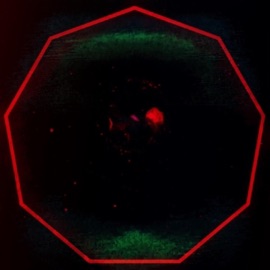 Trinocular Focus VVDS