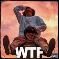 WTF - Single - Silverskin