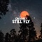 Still Fly - ObeyGrey lyrics