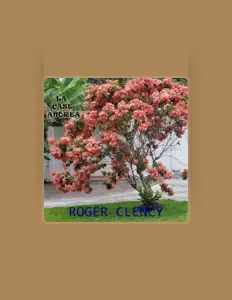 Listen to Roger Clency, watch music videos, read bio, see tour dates & more!
