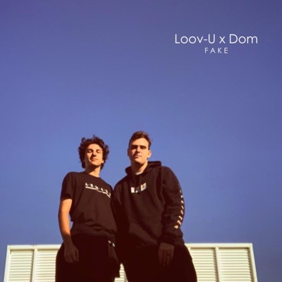 Fake (feat. Dom) - Single