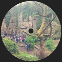 Chief - Single - Meg Ward