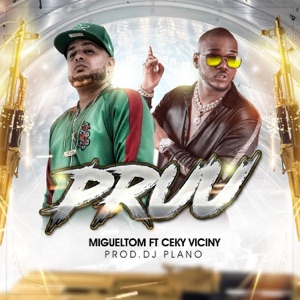 Pruu (feat. Ceky Viciny) - Single