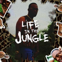 Life in the Jungle EP - EP - Mikillz