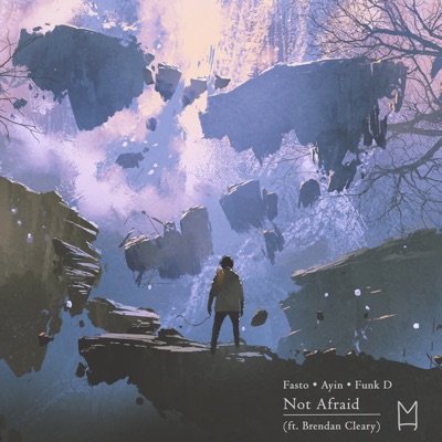Not Afraid (feat. Brendan Cleary) - Single