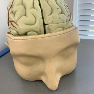 Sturdy REMIX (FettiSoul) (feat. Spenbanz) - Single