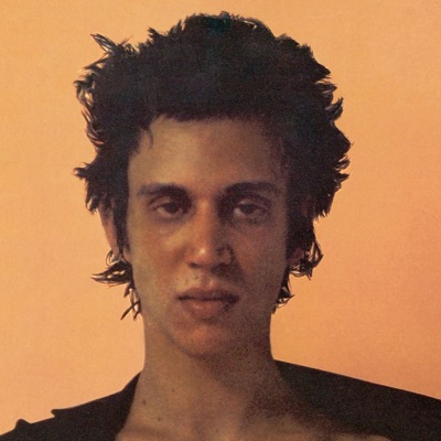 Richard Hell & The Voidoids