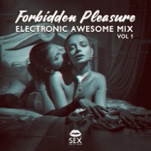 Forbidden Pleasure: Electronic Awesome Mix, Vol. 1, Hot Trio Night, Late Night with Two Girls, Sunshine Night artwork
