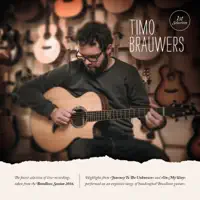Birds — Timo Brauwers