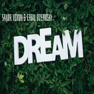Ascolta 'Dream - Single' di Sandr Voxon & Dzemoski