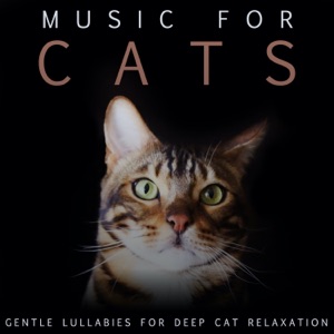 Music For Cats: Gentle Lullabies For Deep Cat Relaxation