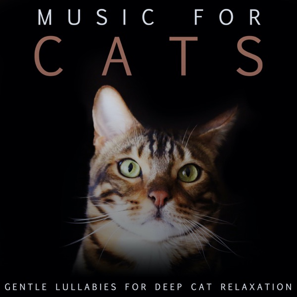Music For Cats: Gentle Lullabies For Deep Cat Relaxation