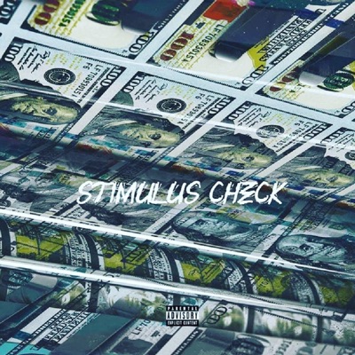 Stimulus Check - Single