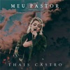 Meu Pastor (Ao Vivo) - Single, 2019