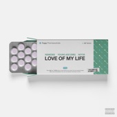 Love of My Life (feat. Not3s & Young Adz) artwork