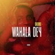 Wahala Dey Single
