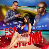 Esa Chama (feat. Mirabal el Inimaginable) - Single - Mr. Blacky el Dj