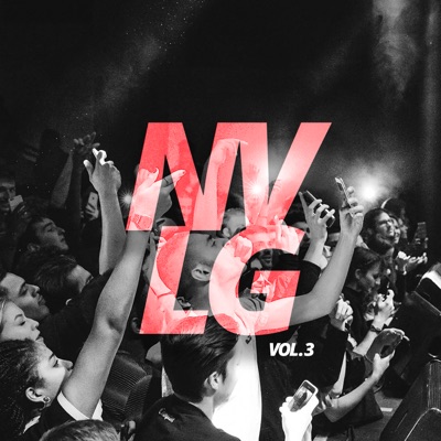 NVLG, Vol. 3