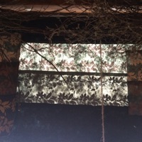 Disappear - Single - Smoke Trees