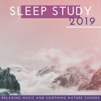 Sleep Study 2019: Relaxing Music and Soothing Nature Sounds to Calm the Mind - Shakuhachi Sakano