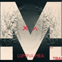 Lumina Mea - Single - Majii