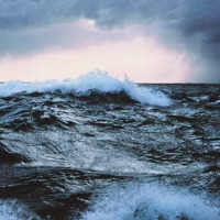 Doce Abismo (feat. MAKAY, Wes Di Castro & 031 Inglório) - Single - Petrichor