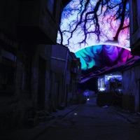 trauma II - Single - DDK & LITFRANK