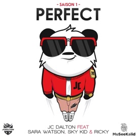 Perfect (feat. Sara Watson, Sky Kid & Ricky) JC Dalton