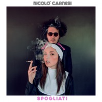 Nicolò Carnesi - Spogliati