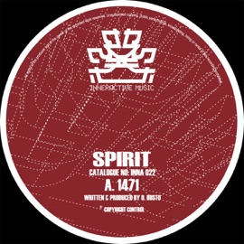 Hammerhead Spirit & Phobia