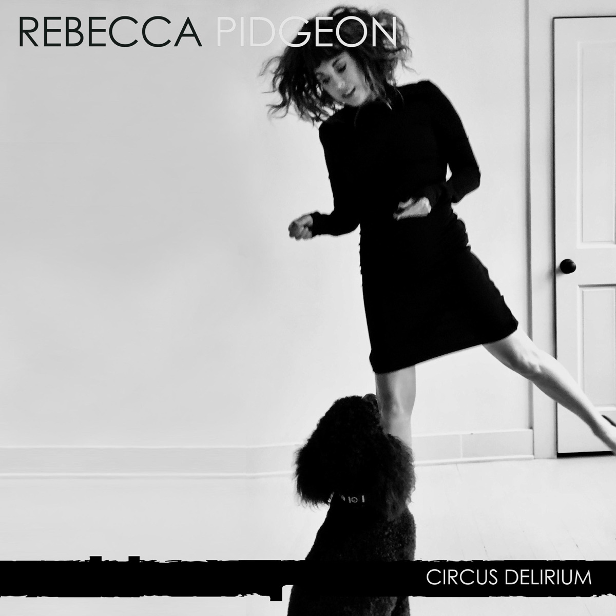 Circus Delirium - Single》- Rebecca Pidgeon的专辑- Apple Music