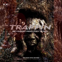Trappin' (feat. Blaqbonez, Pheonix, Fecko & Tobi Smallz) - Single - Fimzy