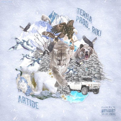 Artide - Single