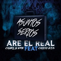 Asuntos Serio (feat. Charly Efe & Chicoes3) - Single - Are el Real