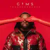 GIMS - Reste