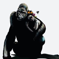 Steady (feat. Cesar Vampiro Lopez) - Single - Alan Munro