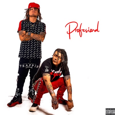 Profesional - Single