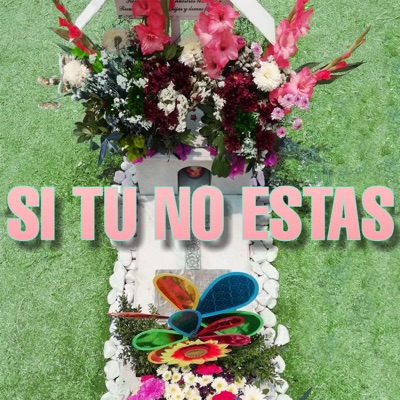 Si Tu No Estas - Single