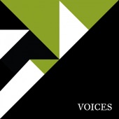 Voices V.A 001 artwork