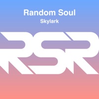 Skylark - EP - Random Soul