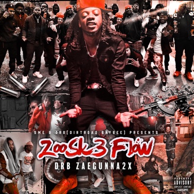 ZooSk3 Flow (FreeStyle)