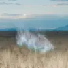 Field Edge